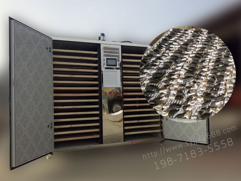 智能環保羊肚菌烘干機價格